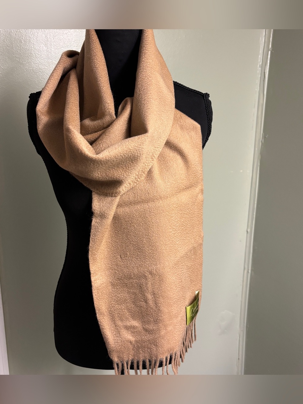 NWT Coach Unisex Camel Cashmere Wool Scarf